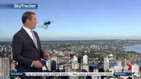 Weather anchor surprised by spider