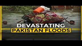 WION Live| Floods ravage Pakistan: Relief rescue operations underway| International News| World News