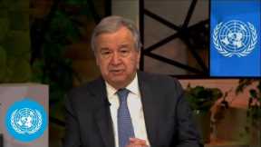 Global Food Crisis - UN Chief Message