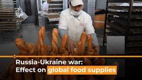 How the Russia-Ukraine war is affecting global food supplies