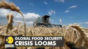 Global food security crisis looms: Russia to free up maritime blockade | World English News | WION