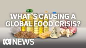 What's causing a global food crisis and is the world running out of food? | ABC News