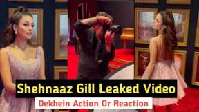 Shehnaaz Gill New Video | Jab Achanak Hua Social Media Hank 😳 Trending World