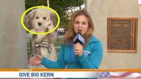 The Very Best News Bloopers May 2020