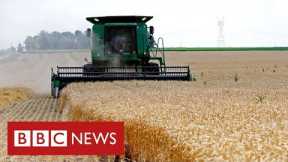 Ukraine War creating “global food crisis” says world trade body - BBC News