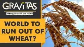 Gravitas: Ukraine war triggers global food crisis