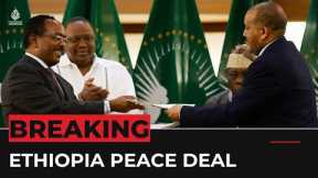 Ethiopia’s warring sides agree ‘cessation of hostilities’: AU