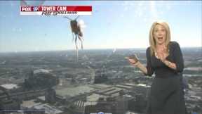 When Creatures ATTACK on the NEWS!!  (Bloopers/fails)