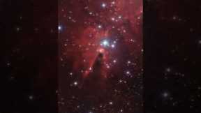 Zooming in on the Cone Nebula #short #shorts #viral #trending #shortvideo #jwst #youtube #ytshorts