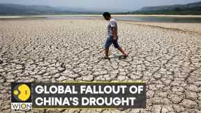 WION Climate Tracker | Global ramifications of China's drought; world stares at more food shortage