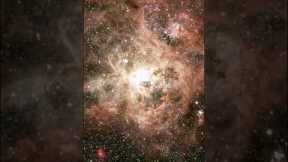 Zoom Into the Tarantula Nebula | James Webb Telescope
