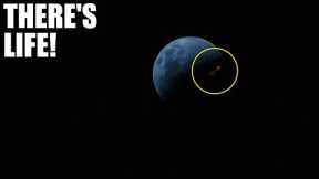 James Webb Telescope's Terrifying New Image Of City Lights Shocks The Entire World!