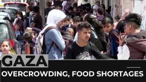 Gaza overcrowding: Loss of farmland is leading to food shortages
