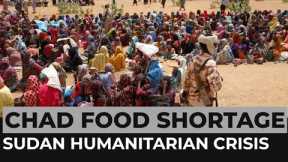 Chad food shortage: UN warns refugees are at risk of hunger