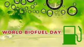 Unveiling the Power of Biofuels | World Biofuel Day Celebration /Today Trending News / Google Trends