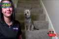 Best News Bloopers April 20201