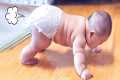 Funny Baby Videos - Adorable Chubby