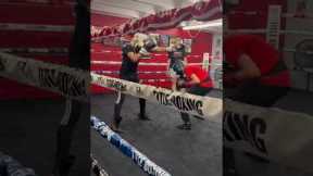 #fight #boxing #gym #trending