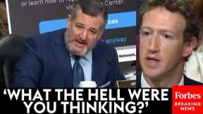 BREAKING NEWS: Ted Cruz Unleashes On Mark Zuckerberg In Senate Judiciary Hearing On Social Media