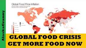Global Food Crisis Coming  Get Prepared Now Buy Food