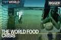 The World Food Crisis