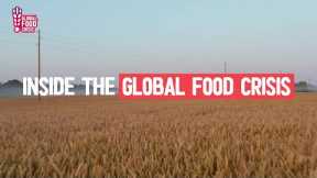 Will there be a global food shortage?