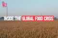 Will there be a global food shortage?