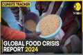 Global Food Crisis 2024 report: 1 in