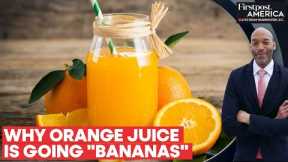 Global Orange Juice Crisis Fueled by Disease and Climate Change | Firstpost America