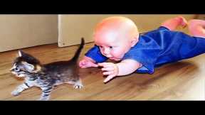 🔴[LIVE] FUNNY PETS - 30 minutes Funniest Babies Playing with Cats Compilation 🐱🐱🐱 || Cool Peachy