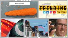 Innovative 3D carrot printer aiming to address global food crisis | Trending on WION