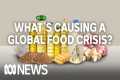 What's causing a global food crisis