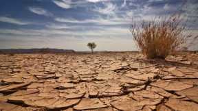 The world faces widespread food shortages due to global warming