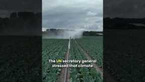 Global Food Crisis  Climate Change Impact