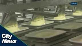 Business Report: Global shortage altering food ingredients