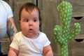 Funniest Baby Videos of the Week -