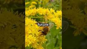 The Vanishing Honeybees: A Global Crisis! #shorts #savethebees #earth #climate #trending #viral