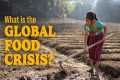 What is the Global Food Crisis and