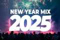 New Year Mix 2025 - Best Remixes