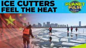 Global Warming Puts China's Ice Cutters on Thin Ice | Planet Pulse