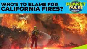 California Wildfires: How Climate Change Fueled the Deadly LA Fires | Planet Pulse | N18G