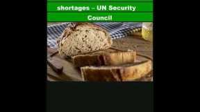 One in five Ukrainian families faces food shortages – UN Security Council|Shorts