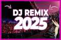 DJ REMIX SONG 2025 - Mashups &