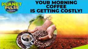 Coffee Prices Skyrocket as Climate Change Causes Global Supply Problems | Planet Pulse | N18G