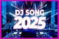 DJ SONG 2025 - Remixes & Mashups