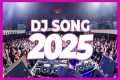 DJ SONG 2025 - Remixes & Mashups