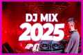 DJ MIX 2025 - Remixes & Mashups