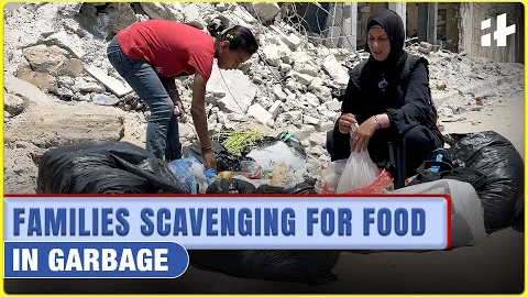 Starving in Gaza | Famine-Like Crisis Forces People to Eat from Trash