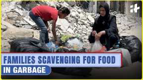 Starving in Gaza | Famine-Like Crisis Forces People to Eat from Trash