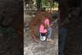 funny video#comedy